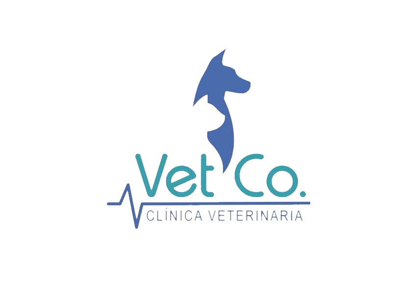 Hospital veterinario Vet co